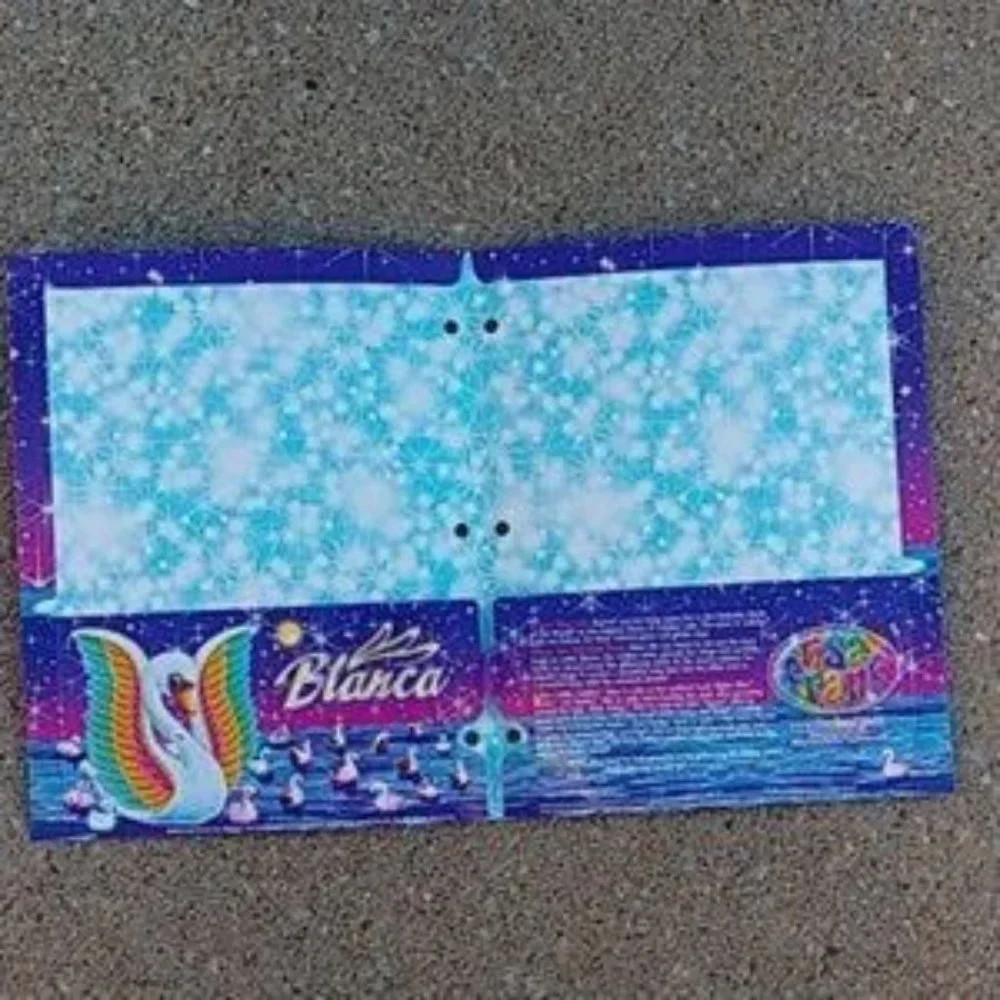 Rare NEW Lisa Frank Folder Swan Folder Lisa Frank